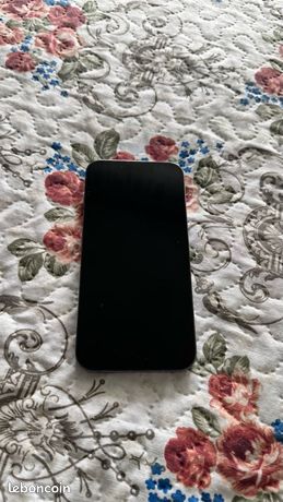 IPhone 13Pro 256g