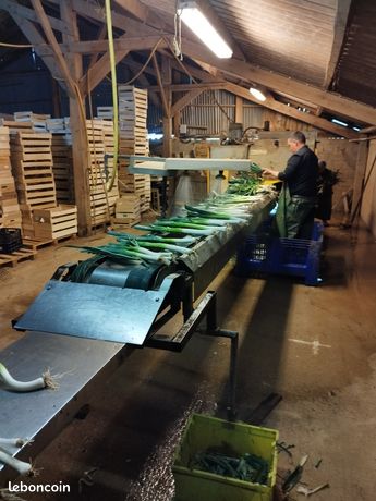 Laveuse à poireaux