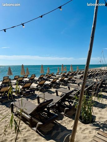 Lot de transats Balliu – Matériel professionnel (plage privée)