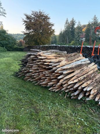 Lot piquets acacias appointés