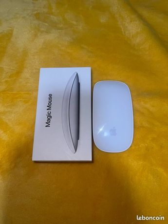 Magic Mouse 2 avec son câble