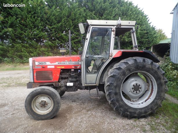 Massey ferguson 365