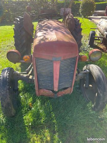 Massey petit gris