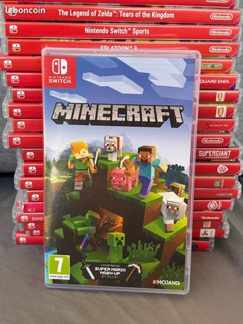 Minecraft switch