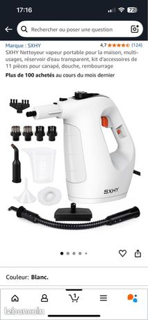 Nettoyeur vapeur portable