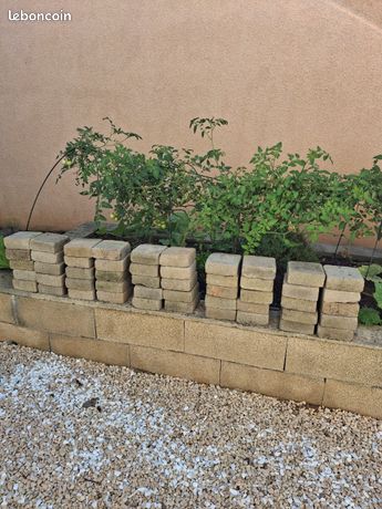 Pavé gris
