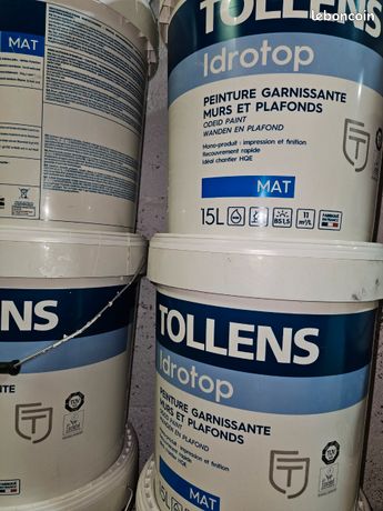 Peinture blanc blanche seigneurie gefco zolpan guittet tollens murs plafond intérieur pro professionnel 15