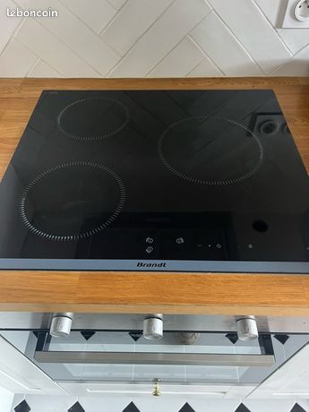 Plaque induction Brandt