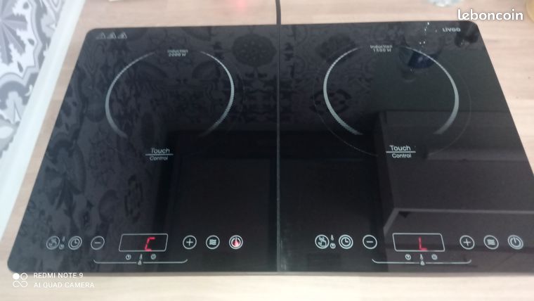 Plaque induction Livoo