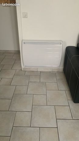 Radiateur a inertie