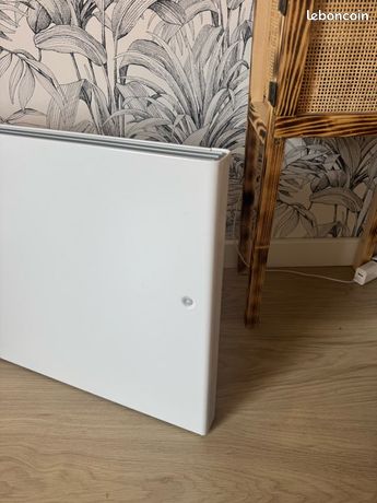 Radiateur inertie