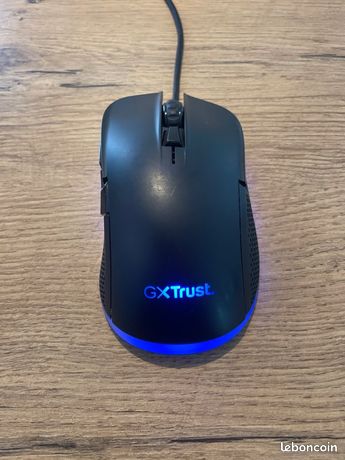 Souris Gaming