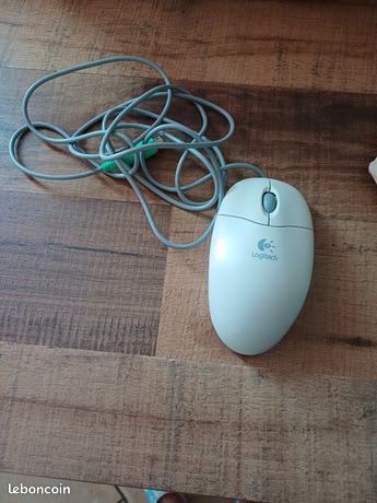 Souris