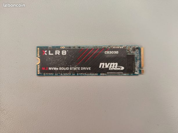 SSD PNY CS3030 250Go