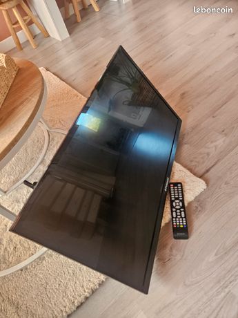 Télé Polaroïd avec support mural