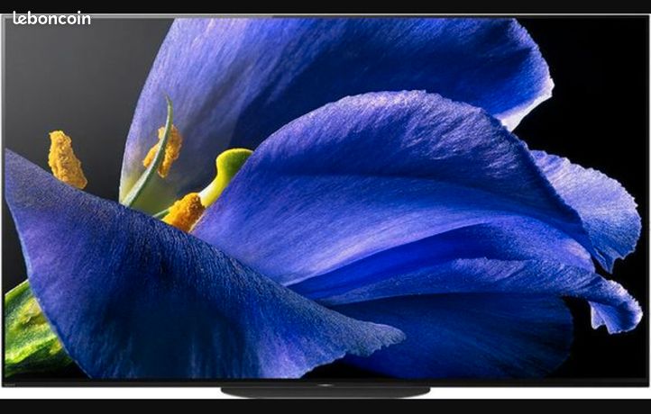 Téléviseur Sony KD-65AG9