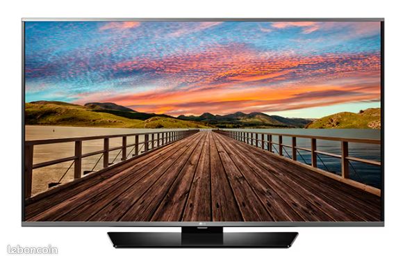 Televiseur