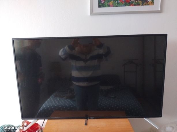 Television
