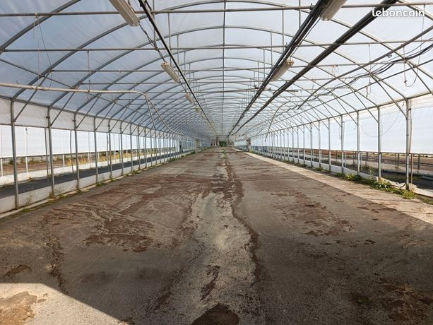 Tunnel