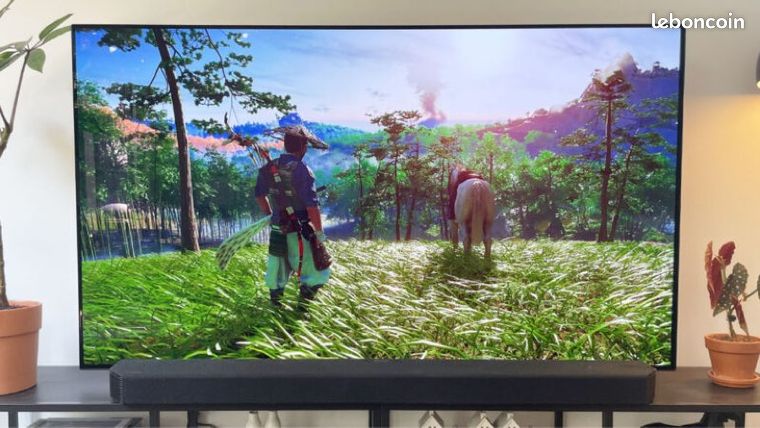 Tv LG Oled 65 C1